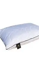 سبيشل تشويس specialchoic